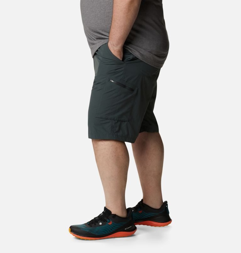 Men's Columbia Silver Ridge Cargo Shorts Black | Plus Size CA-K3150